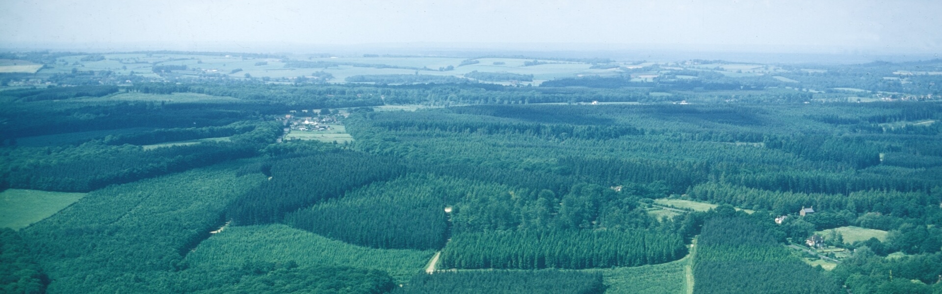 forestry national forest inventory