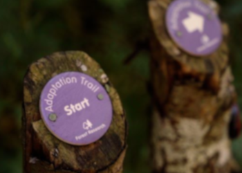 Follow the Climate Change Adaptation Trail