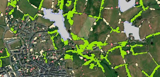 Computer generated image of trees outside woodland using TOW datasets and GIS software.